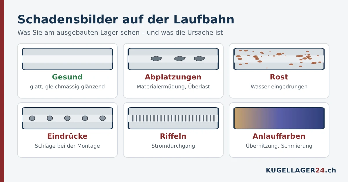 Schadensbilder auf der Laufbahn eines Kugellagers: Abplatzungen, Rost, Eindrücke, Riffeln und Anlauffarben