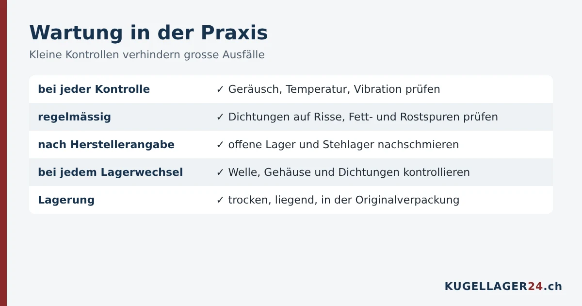 Wartungsplan für Kugellager: Geräusch, Temperatur, Dichtungen, Nachschmieren und richtige Lagerung