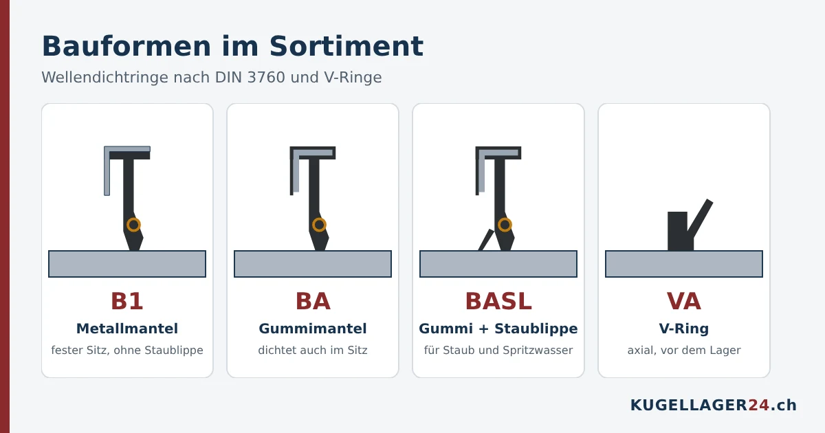 Bauformen von Wellendichtringen: B1 mit Metallmantel, BA mit Gummimantel, BASL mit Staublippe und V-Ring VA